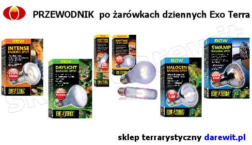 Exo Terra przewodnik żarówki dzienne dla gadów terrarium - sklep darewit